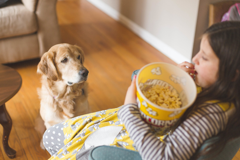 Can you give dogs popcorn best sale