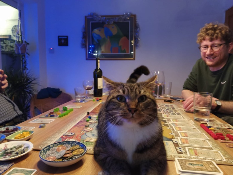 cat interrupting board game