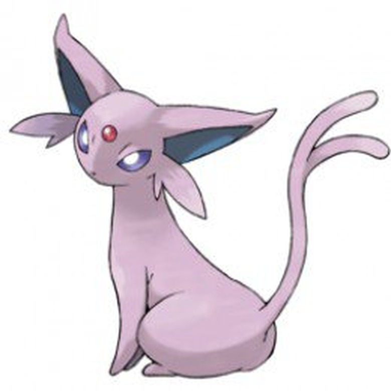 Espeon Pokemon Cat