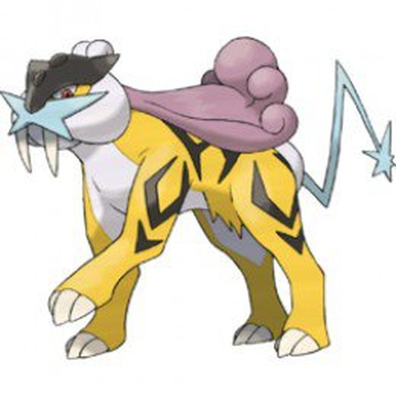 Raikou Pokemon cat