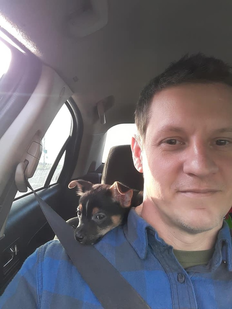 dog sits on man's shoulder in car