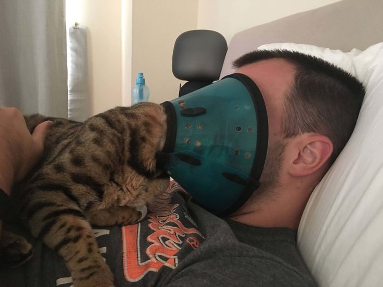 cat shares cone of shame with human