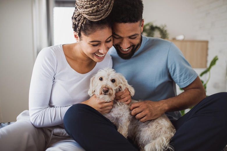 Portrait of young couple sitting on bed indoors at home, playing with dog.