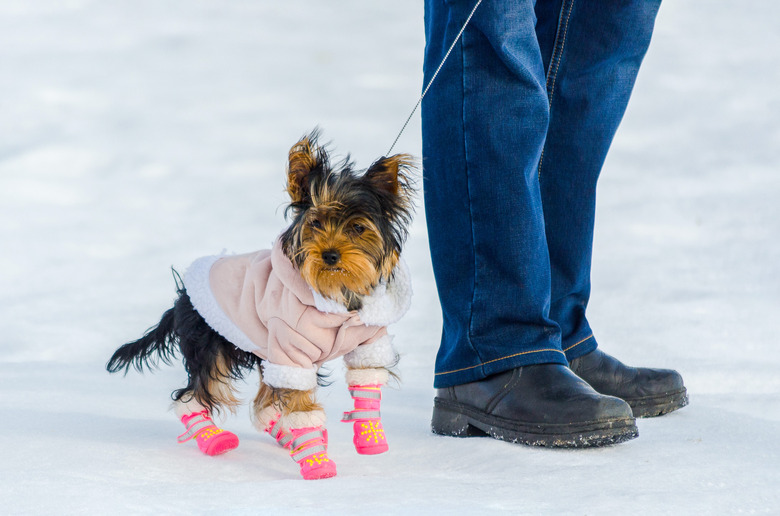 Crochet dog shoes hotsell