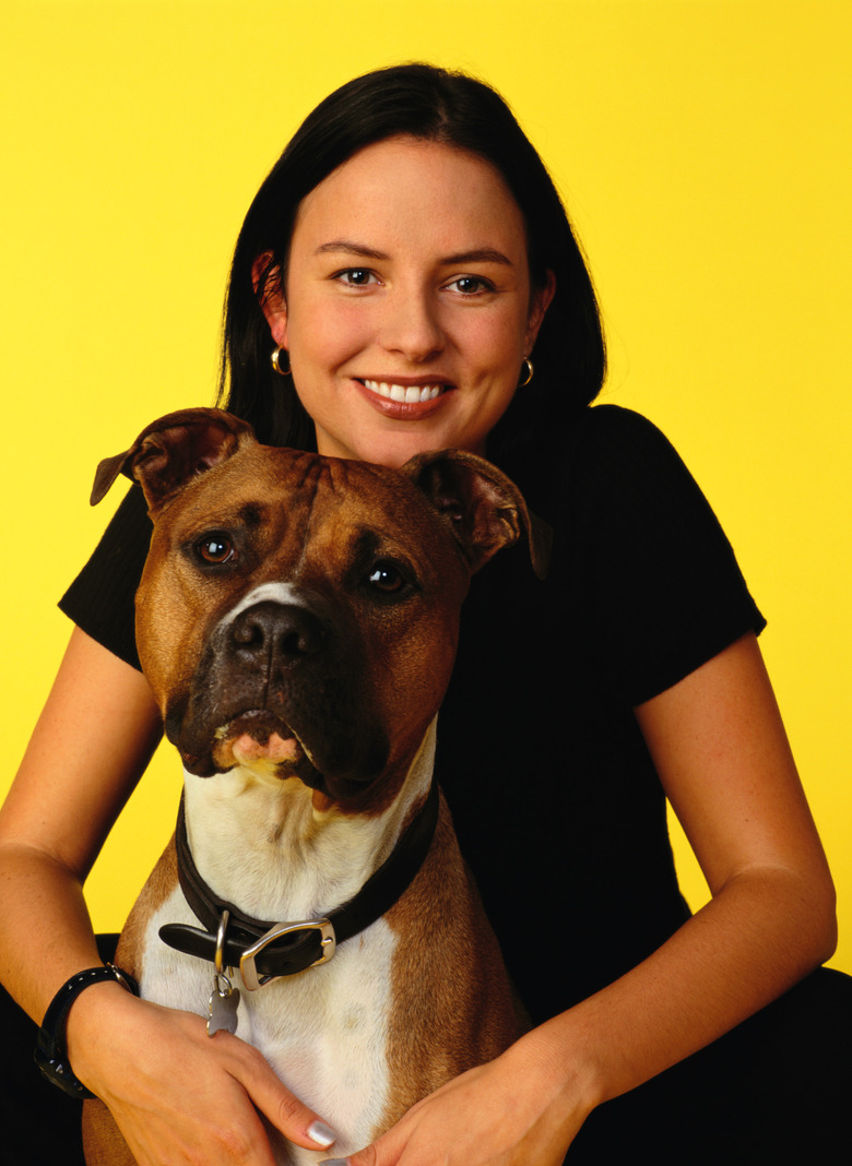 Happy human and pit bull