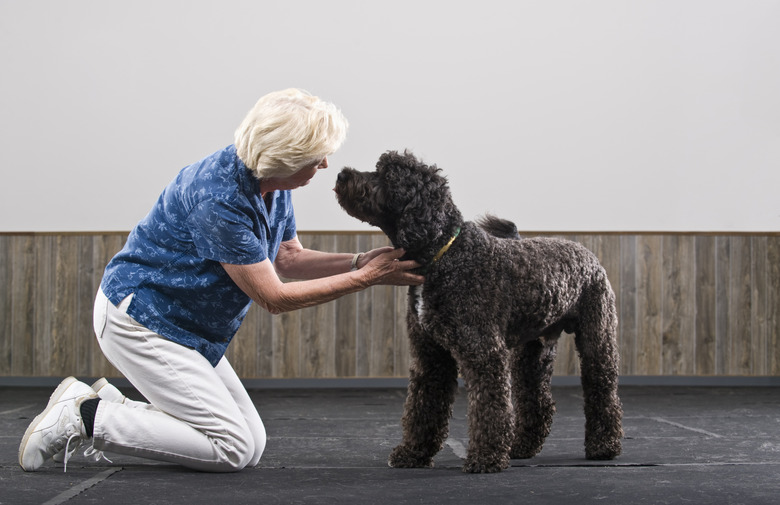 Woman with Portugese Water Dog