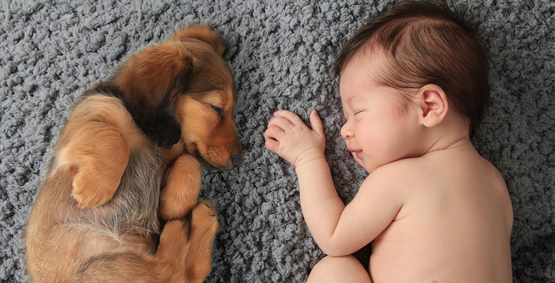 newborn baby and puppy