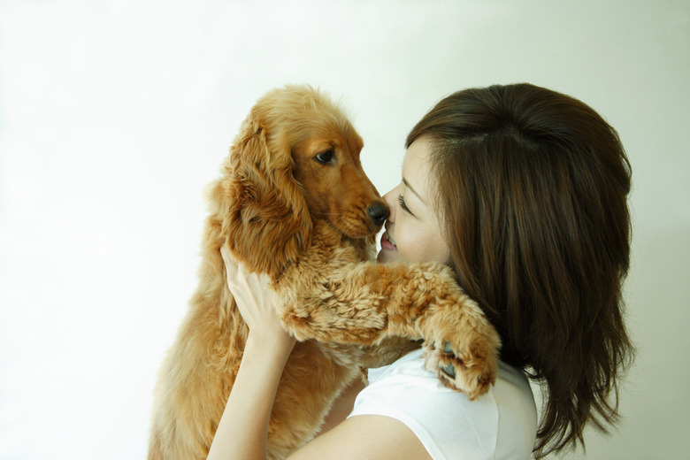 Close-up of a young woman carrying a dog