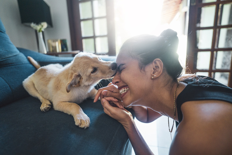 Beautiful young woman playing with a puppy