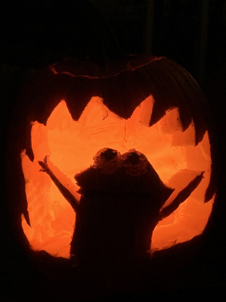 dog eats halloween pumpkin