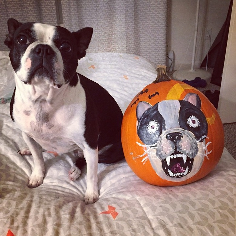 dog's face drawn on pumpkin