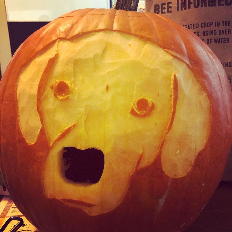 dog's face carved into pumpkin