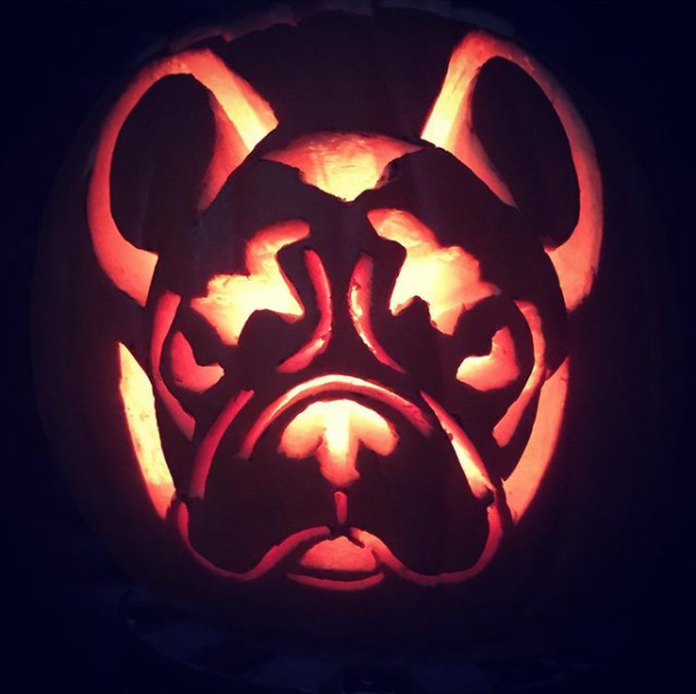 dog-o-lantern lit up with candle