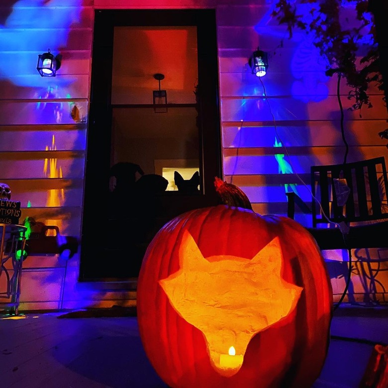 simple carving of dog in pumpkin