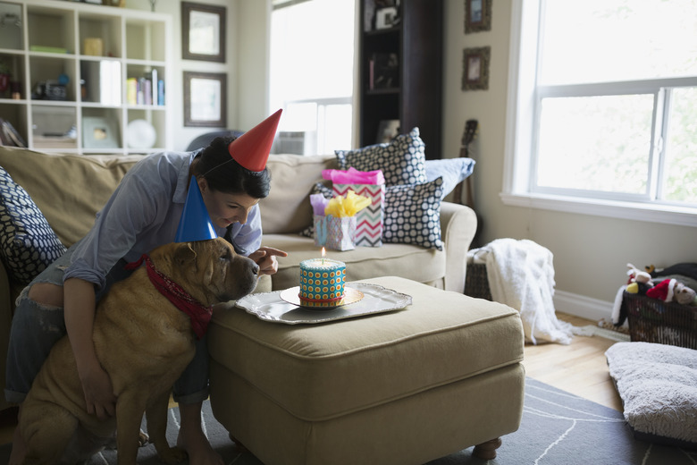 Woman and dog celebrating birthday with cake