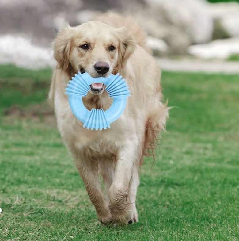 SIKROFEGEN Natural Rubber Chew Ring