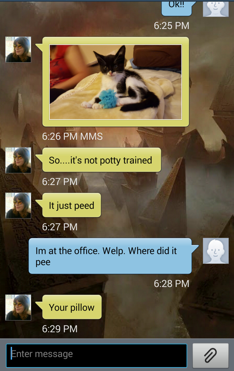 Funny text conversation about a kitten