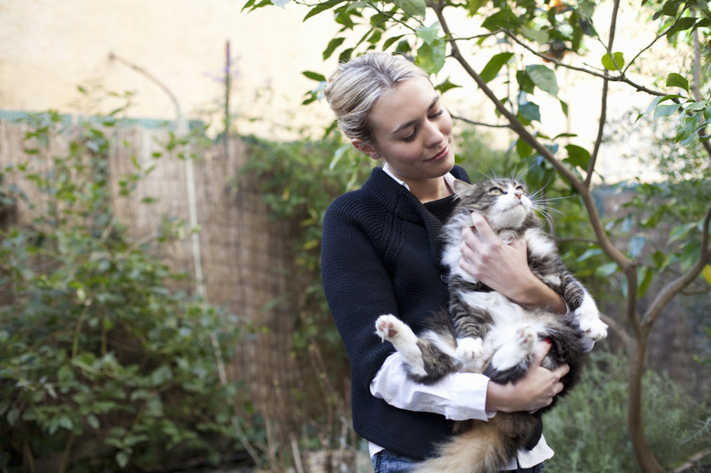 young woman cuddling her big fluffy cat