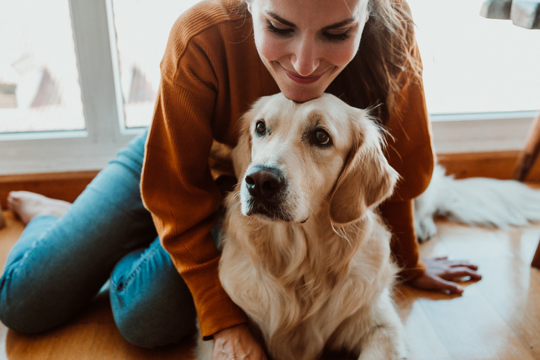 Smiling Woman With Dog Sitting On Floor At Home