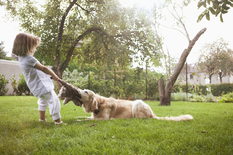 Girl (3-4) playing with dog on lawn