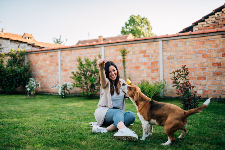 Fun time. Girl playing with her dog in the backyard.