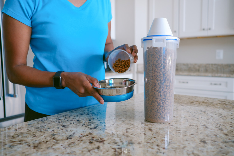 Woman Pours Pet Food Into Bowl