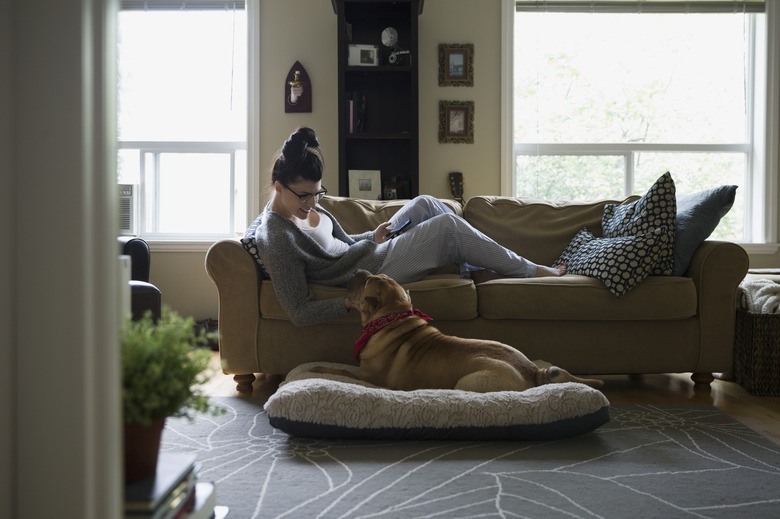 Woman sofa with cell phone looking down dog