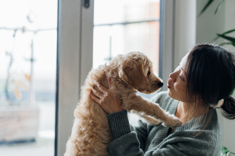 Young Woman Kissing Her Puppy