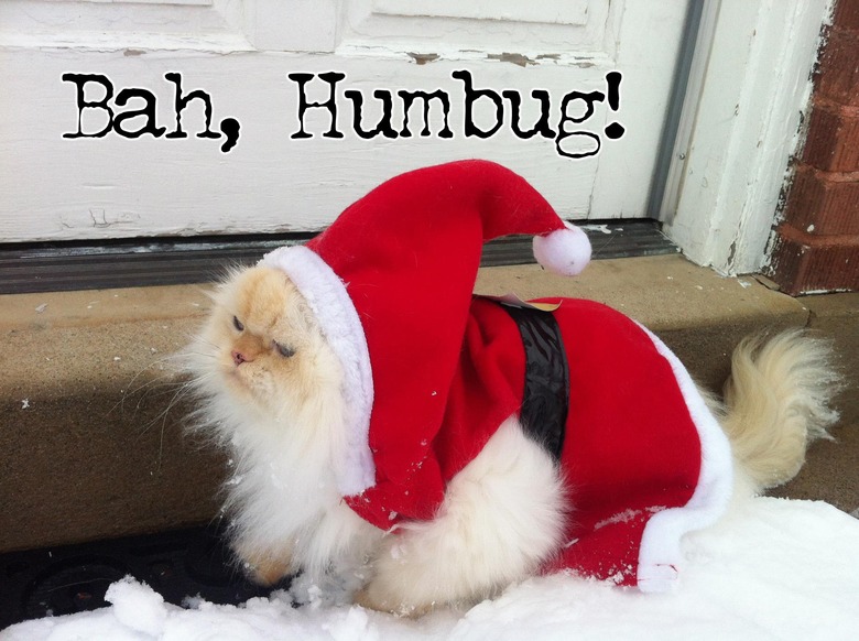 Cat dressed up like Santa with text: Bah, Humbug!