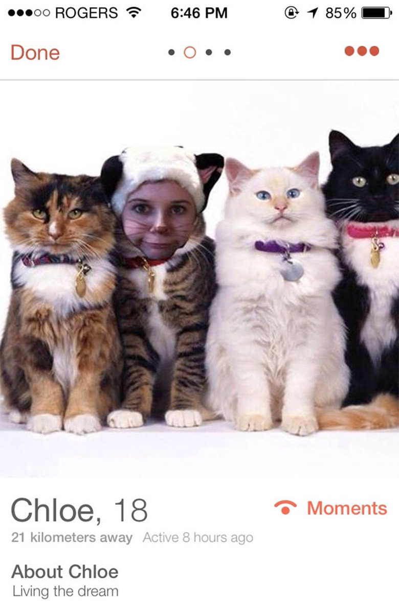 Woman's Tinder picture faceswapped with a cat