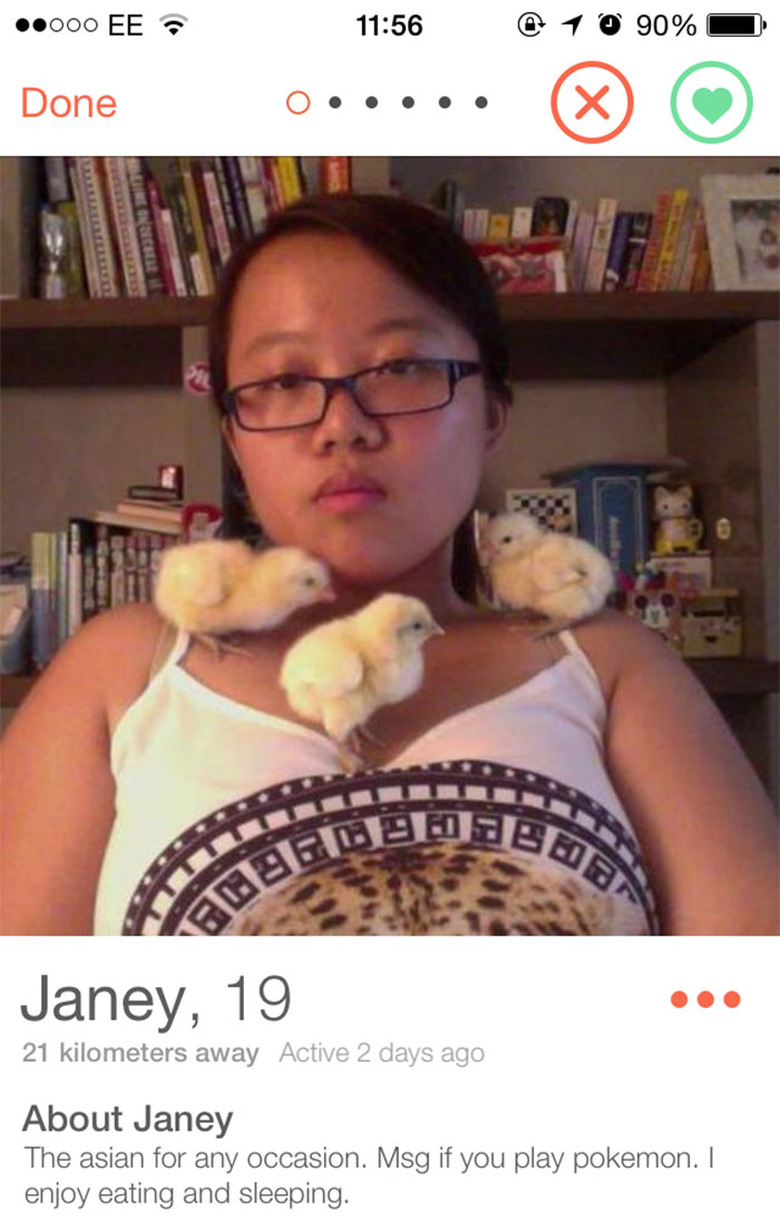 Woman with baby chickens in Tinder profile picture