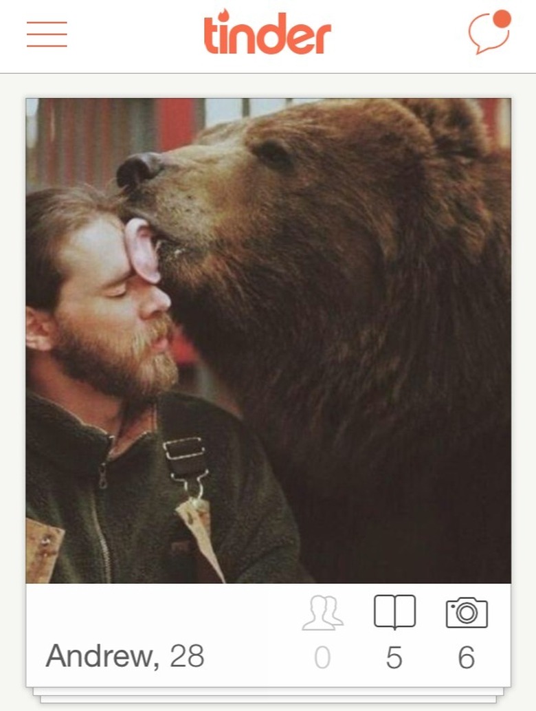 Grizzly licks mans face in Tinder picture