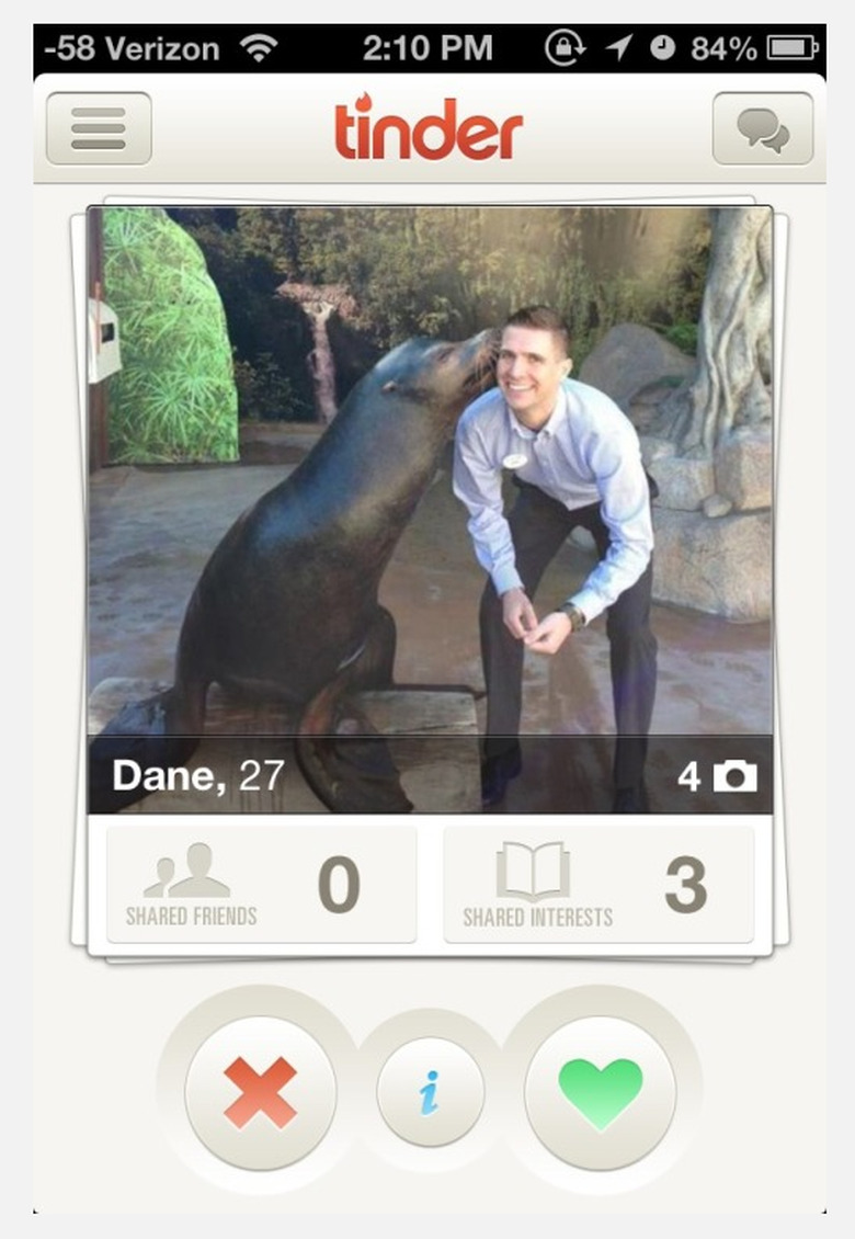 Man gets kiss from seal in Tinder profile picture