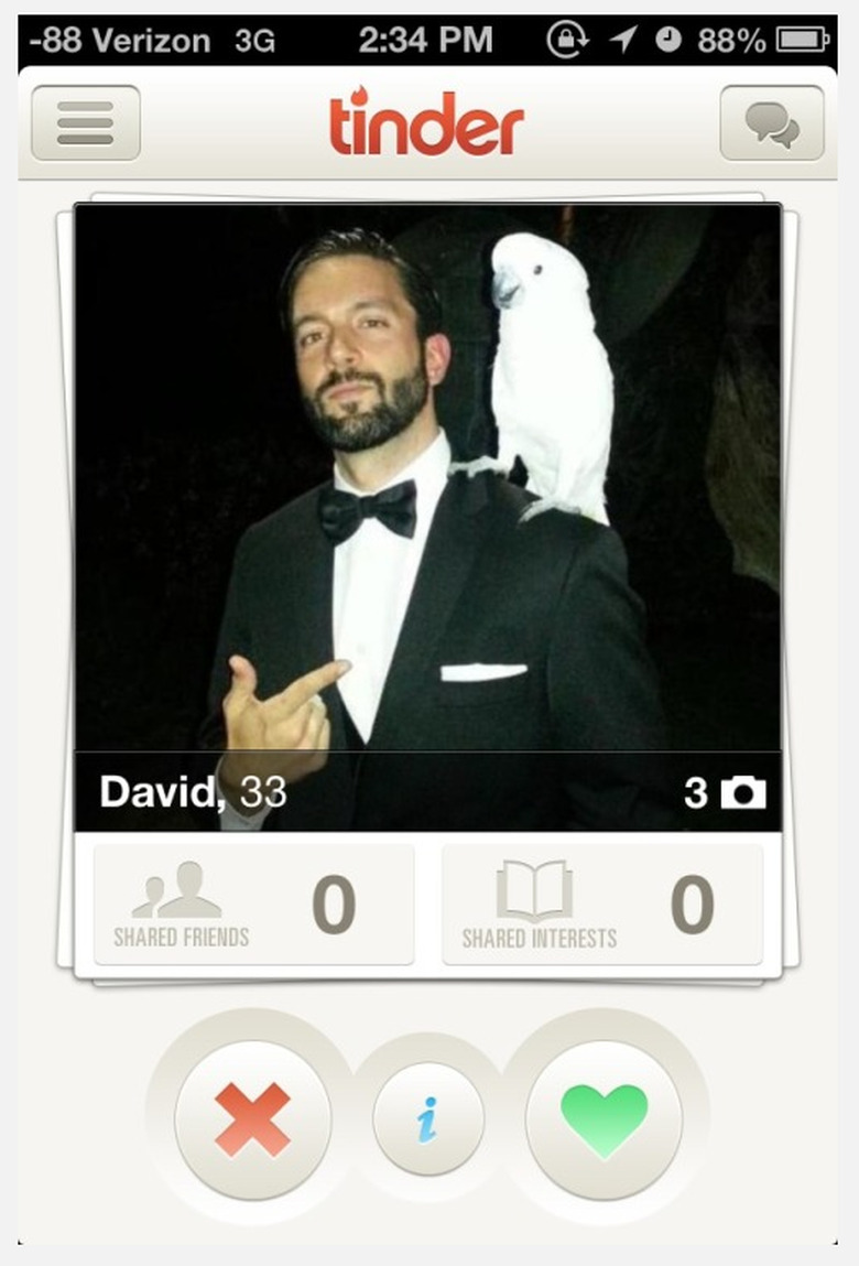 Parrot rests on shoulder in man's Tinder picture