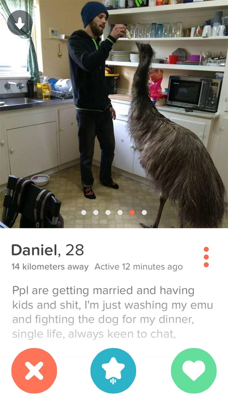 Tinder picture shows man feeding emu in kitchen