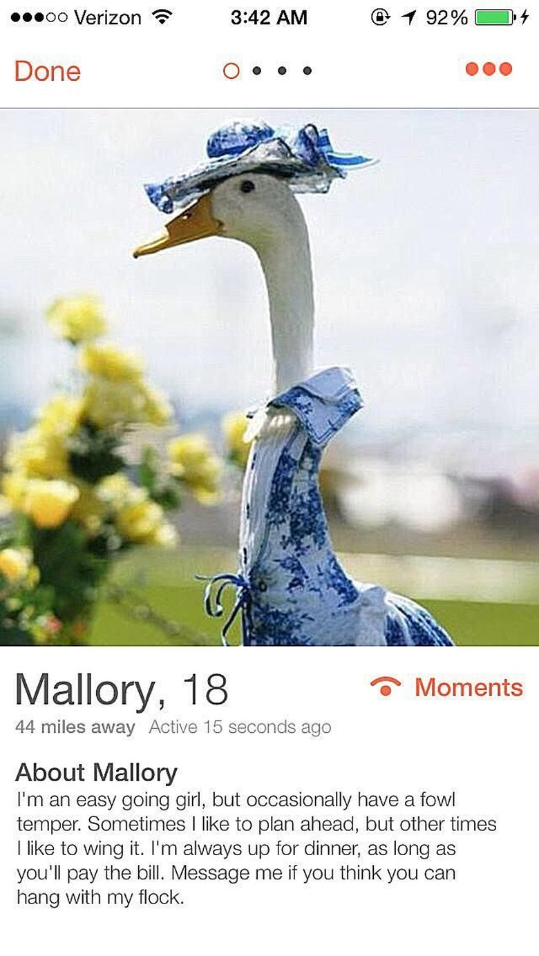 Tinder profile is nothing but bird puns