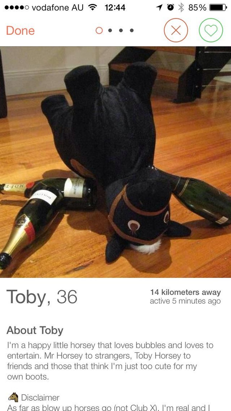 Drunk horse on Tinder