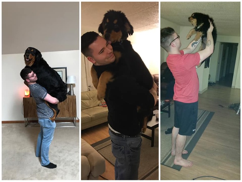 man holds dog as puppy and again as full grown adult