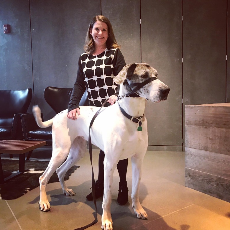 woman and big dog