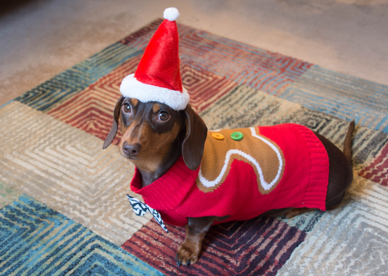 Gingerbread man sweater