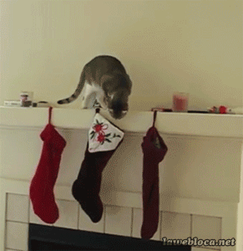 cat falls off fireplace