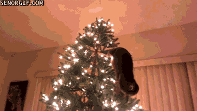 cat climbing Christmas tree