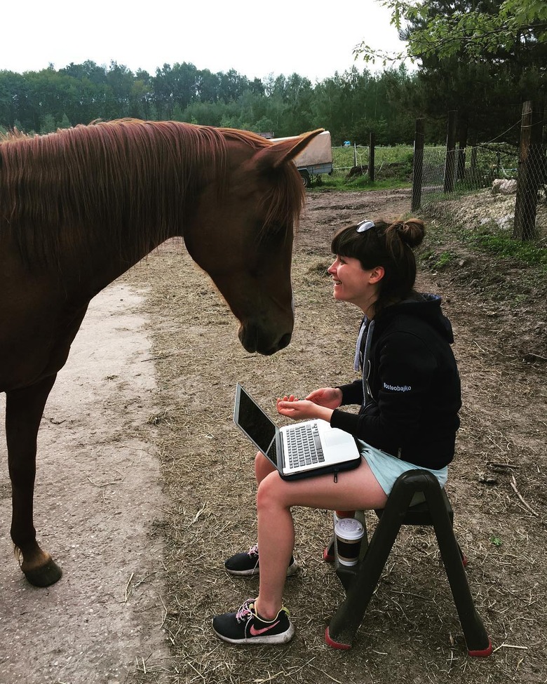 horse curious about woman's laptop