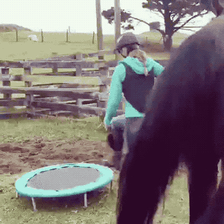 woman uses trampoline to mount horse