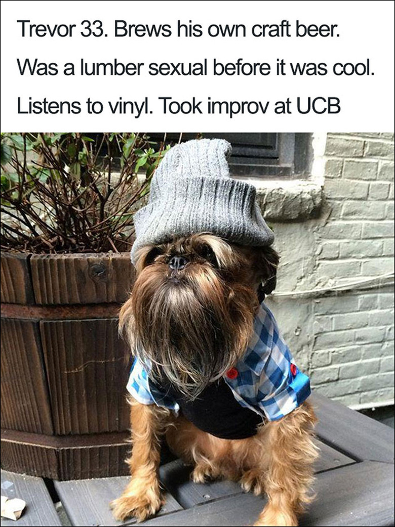 23 ridiculously funny dog bios