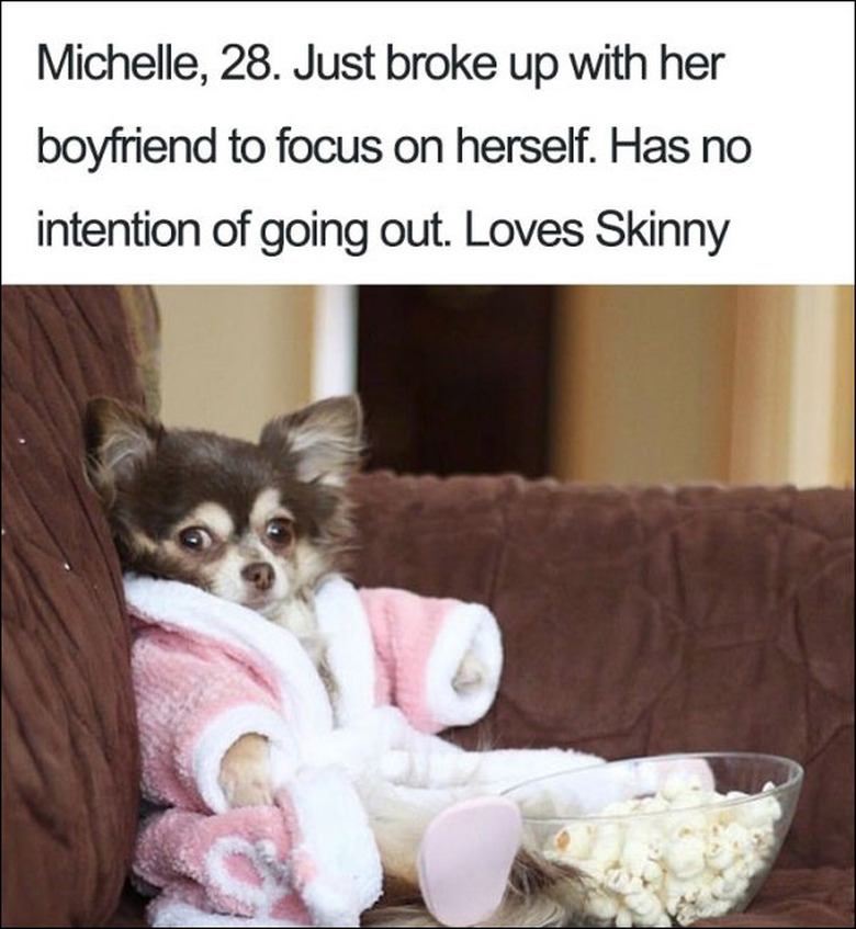 23 ridiculously funny dog bios