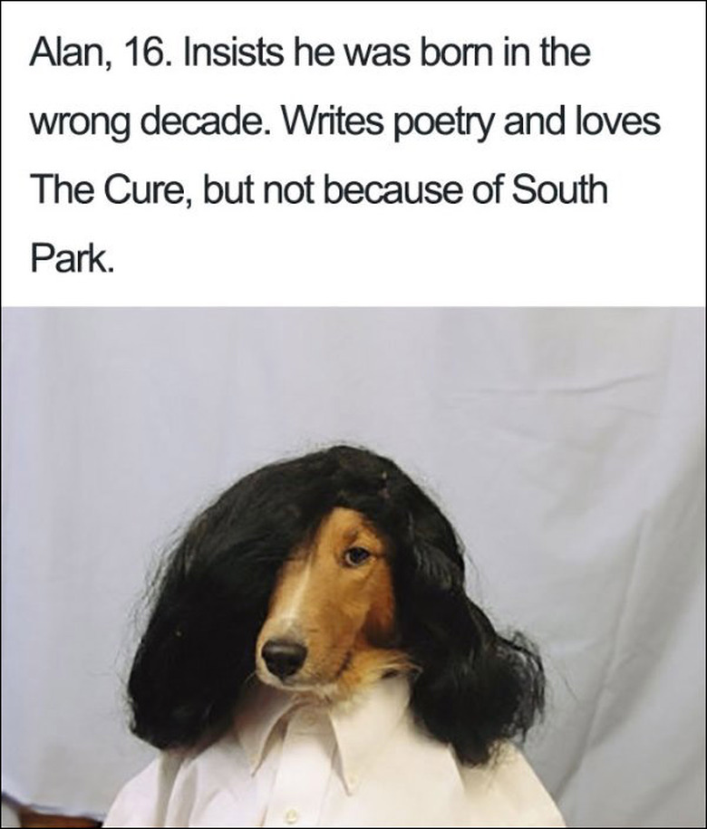 23 ridiculously funny dog bios