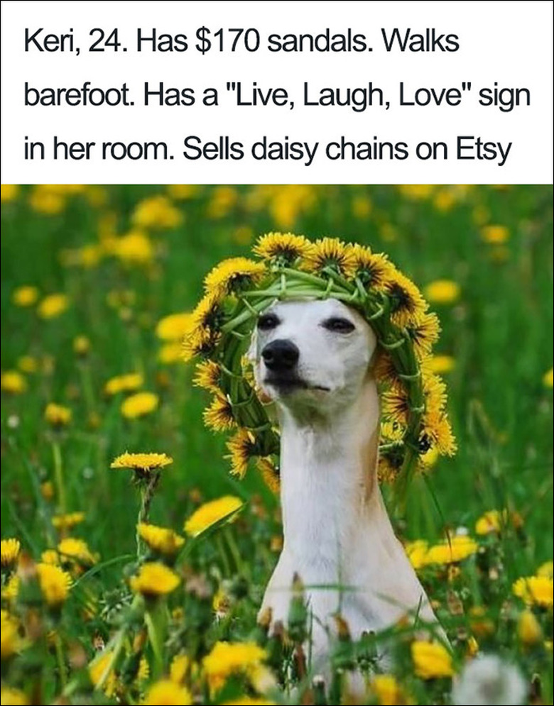 23 ridiculously funny dog bios