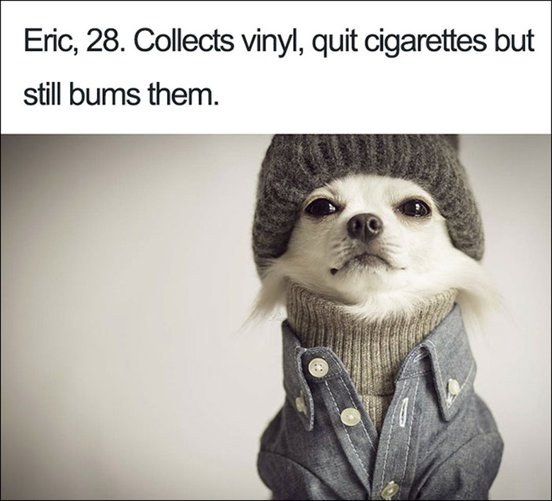 23 ridiculously funny dog bios