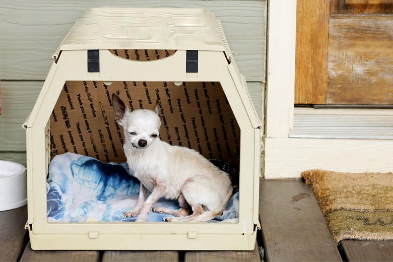 Pet crate divider best sale